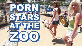 Sexy Pornostars verführen den Zoo-Pfleger hemmungslos
